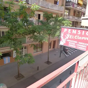 Affittacamere El Ciervo, Lloret de Mar